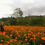 7 Objek Wisata Gratis di Bali yang Wajib Kamu Tau