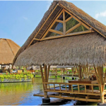 7 Cafe Unik di Bali dengan Menu Lezat dan Halal