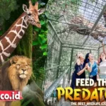 Harga Tiket Bali Safari Sekarang